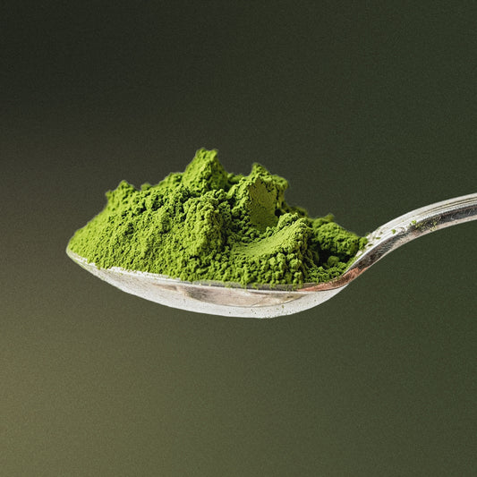 Kyoto Matcha Pure Sunshine / 30g
